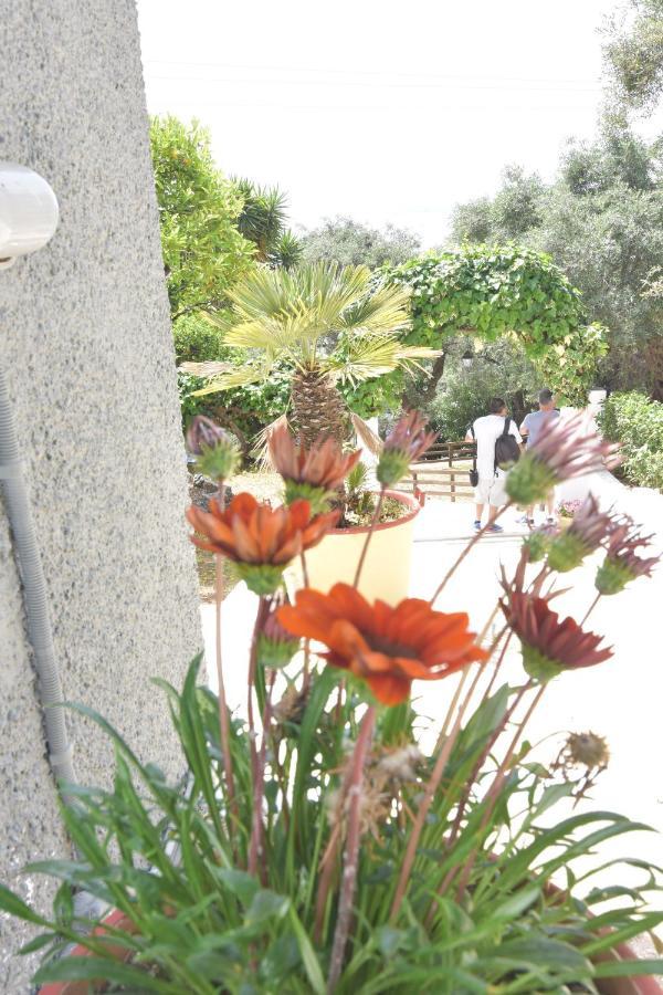 Baracunda Apartments Barbati Bagian luar foto